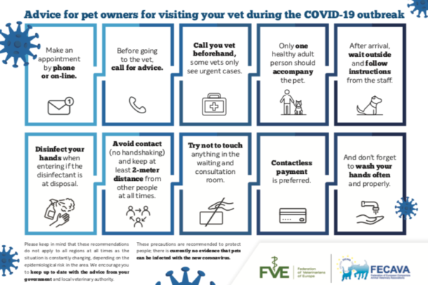 Advice for pet owners for visiting your vet during the COVID-19 ...