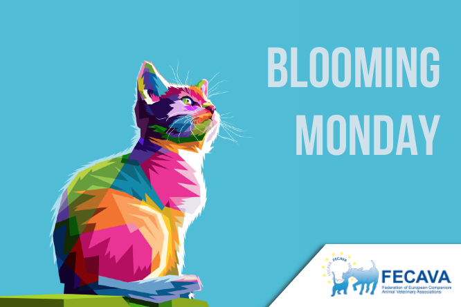 Blooming Monday
