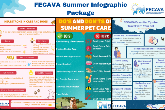 FECAVA Summer Infographic Package