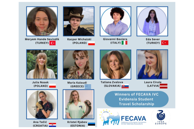 FECAVA IVC Evidensia Student Travel Scholarship 2024